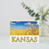 Kansas Wheat Field Briefkaart (Staand voorkant)