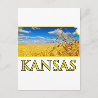 Kansas Wheat Field Briefkaart