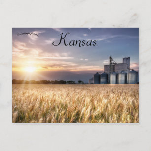 Kansas Wheat Field Briefkaart
