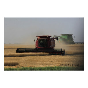 Kansas Wheat Harvest Photo Enlargement Foto Afdruk