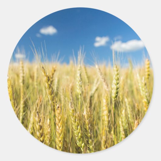 Kansas Wheat Ronde Sticker (Voorkant)