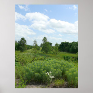 Kansas Wildbloemen en Meadows Poster