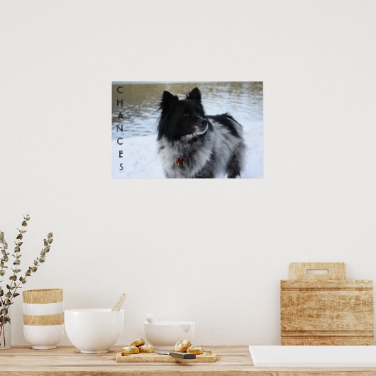 KANSEN POSTER (Keuken)