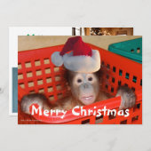 Kant-kerstkerstkerstkaart Kaart (Voorkant / Achterkant)