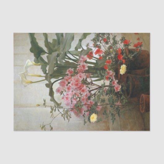  kant van een kas door tissuepapier (Voorkant)