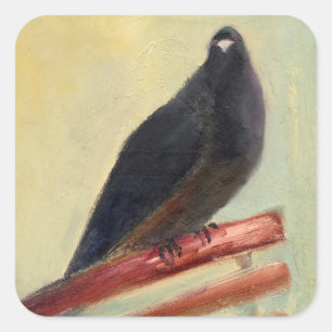Kantaarns Court Pigeon 2013 Vierkante Sticker