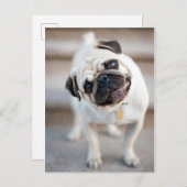 Kantel Briefkaart (Voorkant / Achterkant)