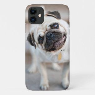 Kantel iPhone 11 Hoesje