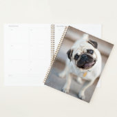 Kantel Planner (Display)