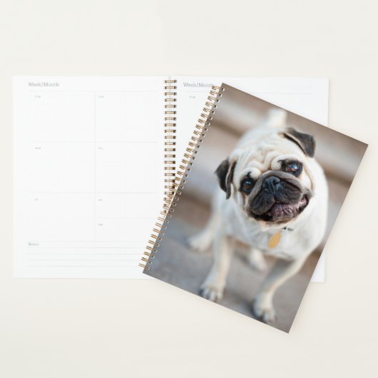 Kantel Planner (Display)