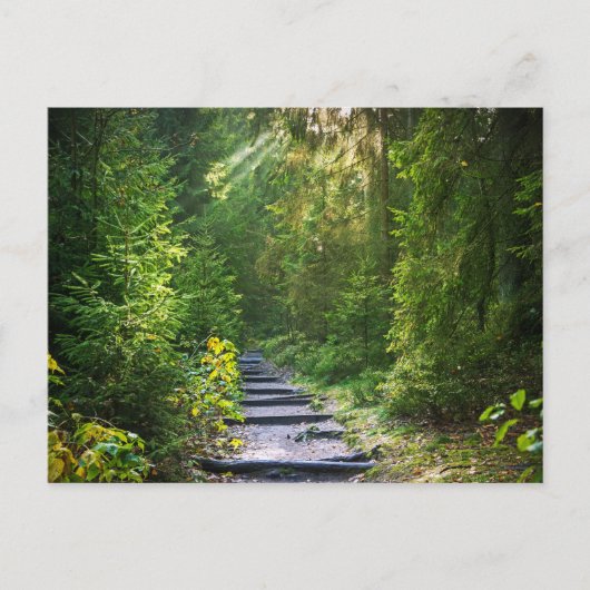 Kantelbaar Woud Pad 1 Briefkaart (Voorkant)