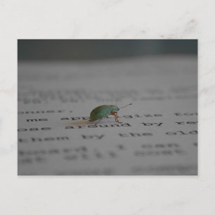 Kantoor bug briefkaart