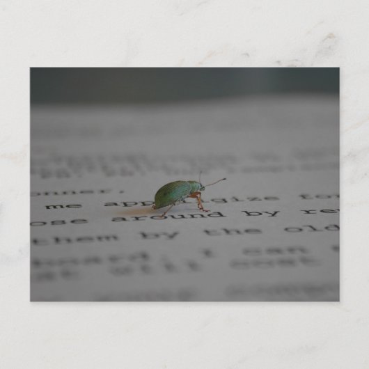 Kantoor bug briefkaart (Voorkant)