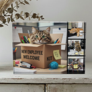 Kantoorpretkatten Foto, Stad, Zakelijke Kat Fotoblokken