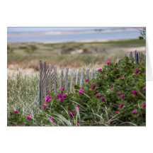 Kantrekken voor lichte doorsnede