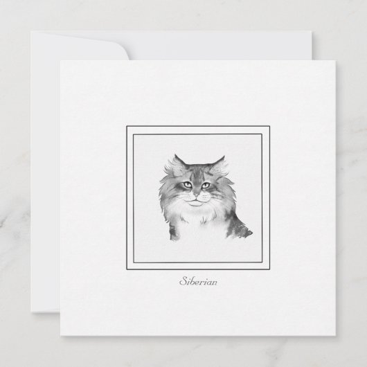 Kanttekening van een Siberische Kat-platte briefka Notitiekaartje (Voorkant)