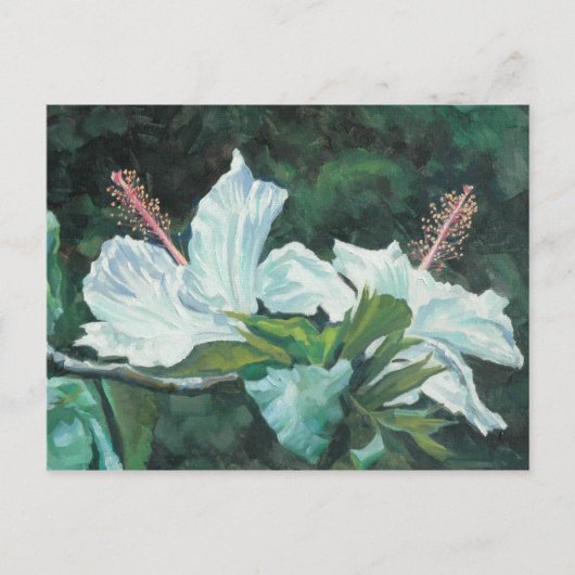 Kao Kao 5 Briefkaart (Voorkant)