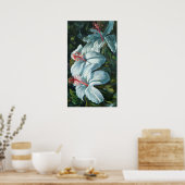 Kao Kao Poster (Keuken)