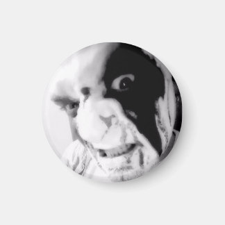 Kaos Anubis BLoody Face Good vs Evil Magnet Magneet