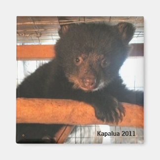 Kapalua 2011 magneet