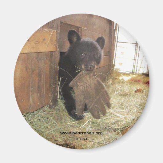 Kapalua met handschoen - magneet (Voorkant)