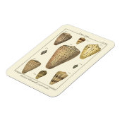 kapeltjes magneet (Linkerzijde)