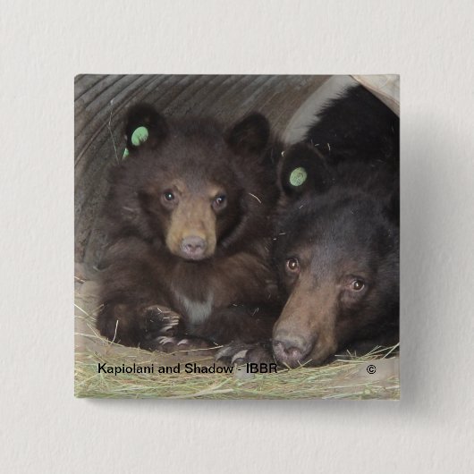 Kapiolani en Shadow - vierkante knop Button 5,1 Cm (Voorkant)