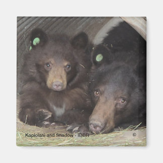 Kapiolani et Shadow - Aimant carré