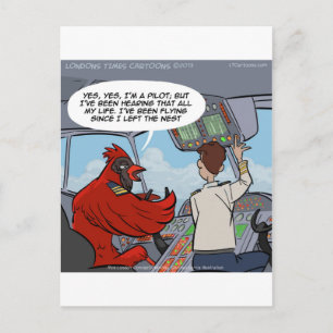 Kapitein Byrd Vliegt Met Een Jumbo Jet Grappig Briefkaart
