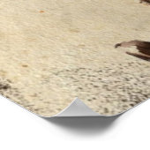  kapitein en schip poster (Hoek)