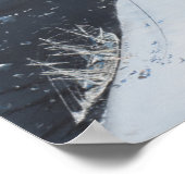 Kapitein Scott Antarctica's eerste Aeronaut. 4e Poster (Hoek)