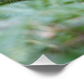 kapotte boom perfect poster (Hoek)