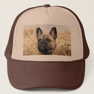 Kappe französische Bulldogge Trucker Pet