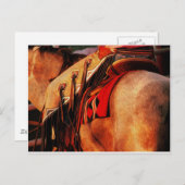 Kappen Briefkaart (Voorkant / Achterkant)