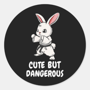 Karate Bunny Schattigee maar gevaarlijke grappige Ronde Sticker