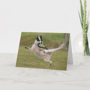 Karate', de Winnaar van de Wedstrijd van de foto Kaart