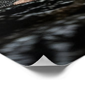 Karate Master Performing Kata Under Waterfall Poster (Hoek)