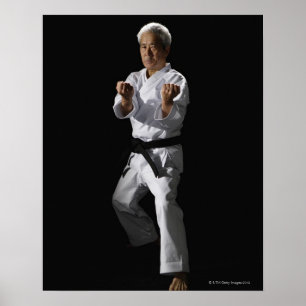 Karate master, portret, studio shot 2 poster