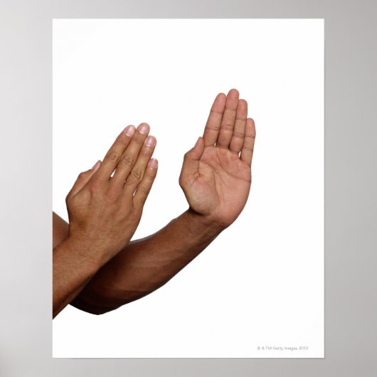 Karate Stance 2 Poster (Voorkant)