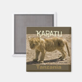 Karatu Tanzanie Afrique Frigo Magnet Lion Cub (Recto/Verso)