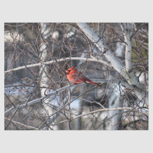 Kardinaal 2926-weefselpapier tissuepapier (Voorkant)