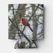 Kardinaal Blikjeskoeler (Voorkant)