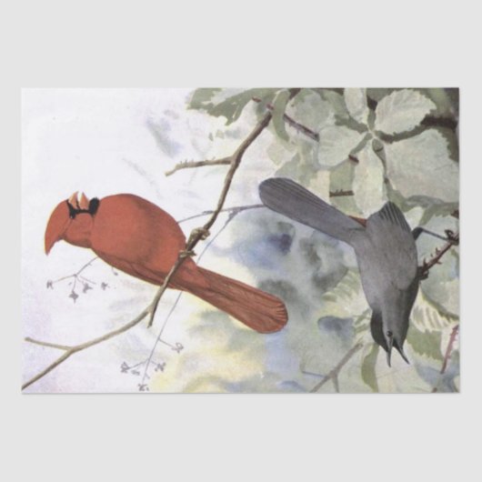 Kardinaal Catbird  Bird Decoupage Natuur Tissuepapier (Voorkant)
