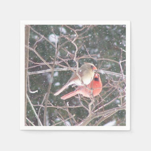 Kardinaal Cocktail Napkins Servet