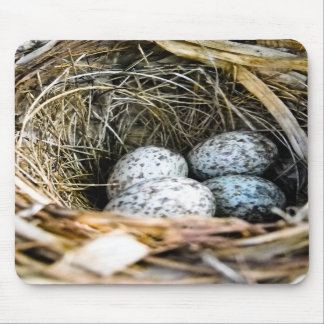 Kardinaal Egg Mousepad Muismat