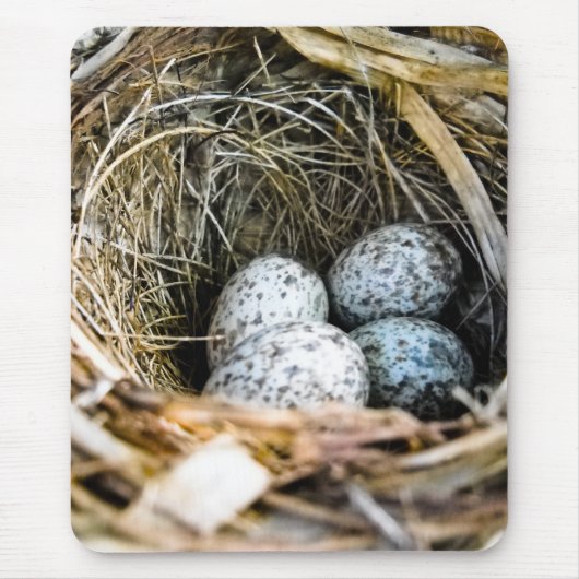 Kardinaal Egg Mousepad Muismat (Voorkant)