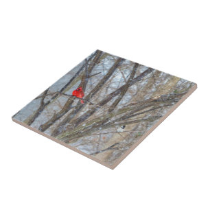 Kardinaal en cichorei tegeltje