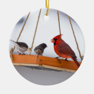 Kardinaal en Juncos Keramisch Ornament