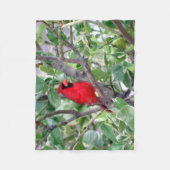Kardinaal Fleece Blanket Deken (Voorkant)