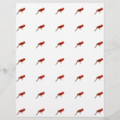 Kardinaal Flyer (Voorkant)